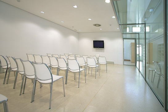 Adecuación para Biblioteca Pública Municipal Alberto Navarro . Elda . Alacant . España