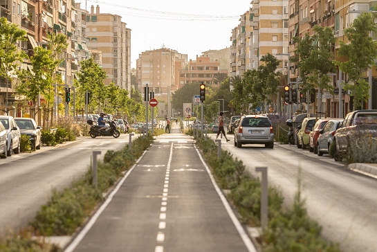 Proyecto de mejora del sistema viario de la calle Padre Esplá . Alicante . Alacant . España
