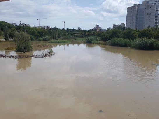 Parque Urbano Inundable 'La Marjal' . San Juan de Alicante . Alacant . España