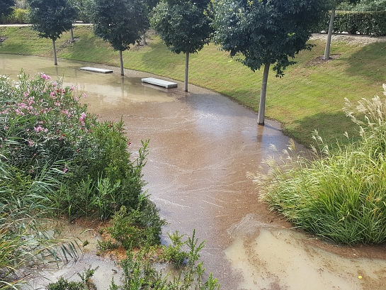 Parque Urbano Inundable 'La Marjal' . San Juan de Alicante . Alacant . España