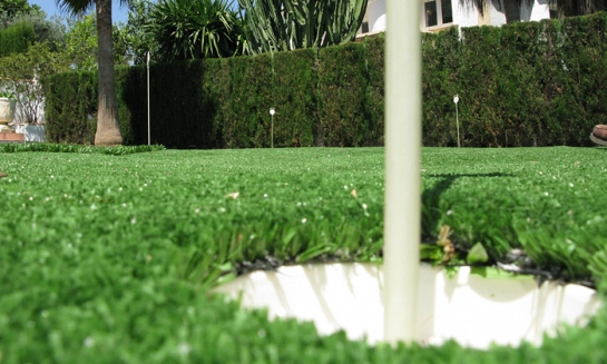 Alpha Pro (golf)