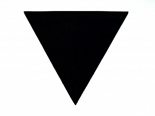 EliAcoustic Flag Slim Premiere