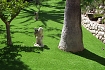 Libra (jardinería)