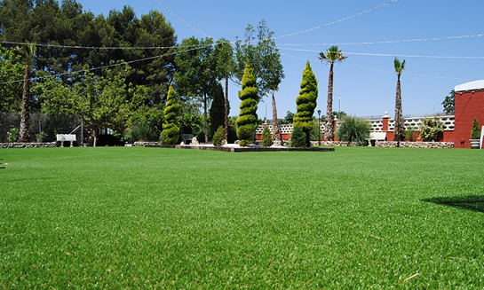 Tauro (jardinería)