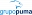Grupo Puma Alicante